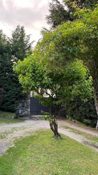 Holiday home Charming Giancarla *