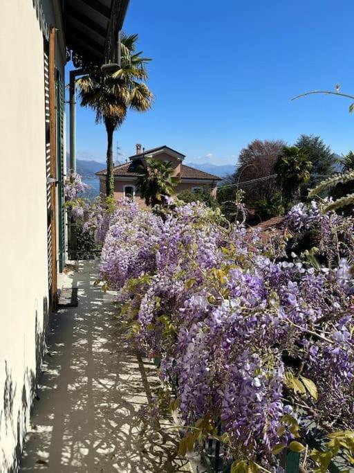 Holiday home Charming Giancarla